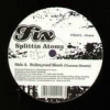 Splittin Atoms & Taxman (Vinyl)