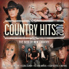Country Hits 2007 (The Best Of New Country)