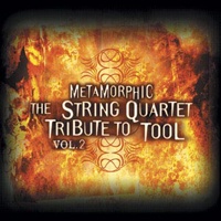 The String Tribute To Tool - Metamorphic