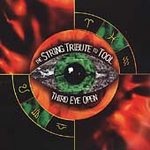 The String Tribute To Tool - Third Eye Open