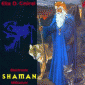 Electronic Shaman Millenium