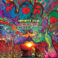 Infinite Soul The Best Of The Grip Weeds